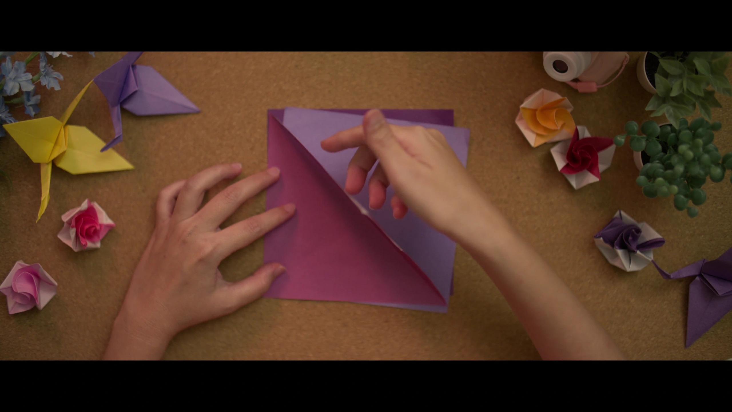 Pink Rose — selected film still